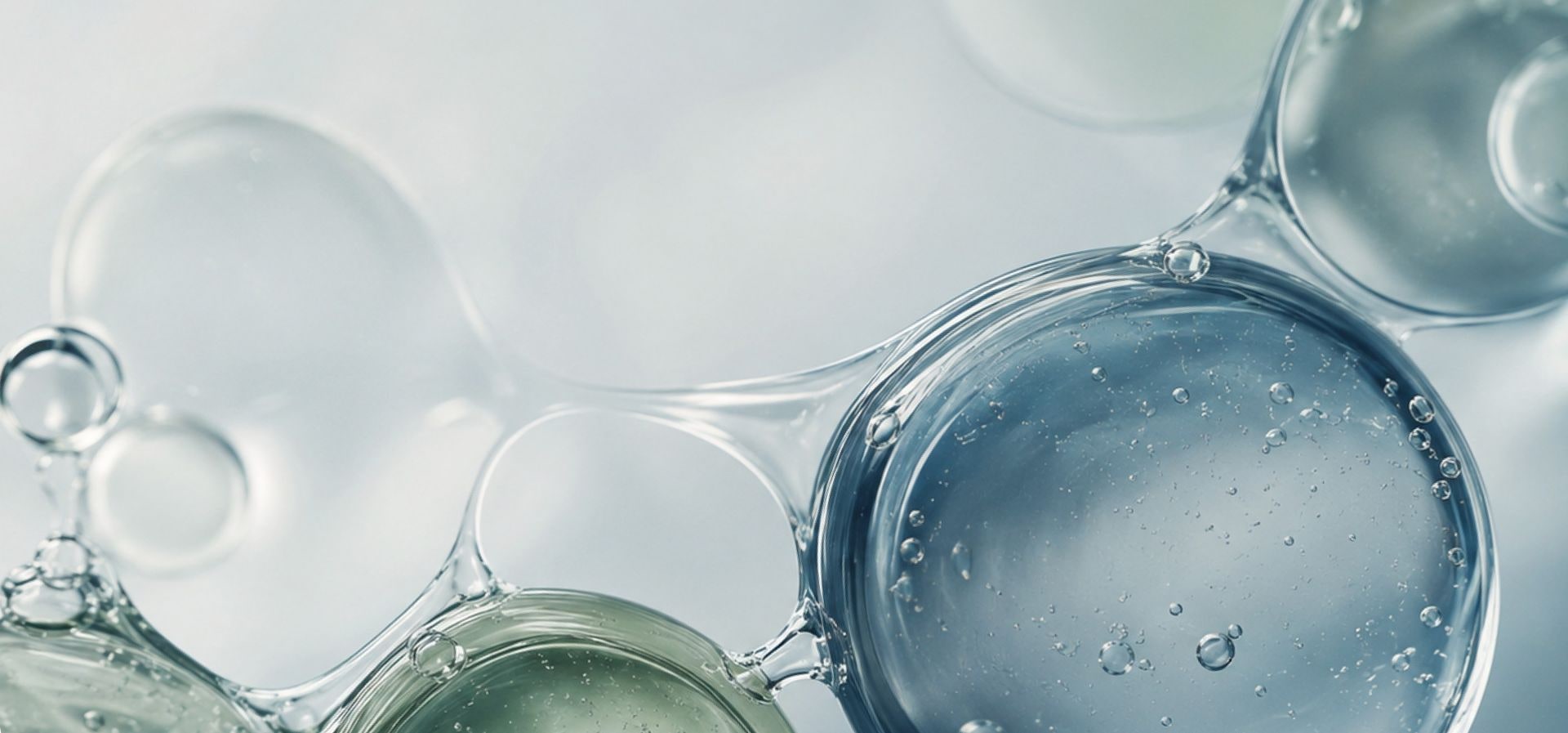 Close-up of regenerative cellular bubbles