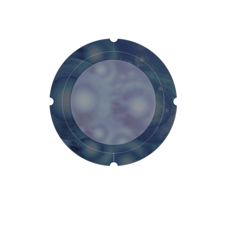 Mesenchymal stem cell (MSC) illustration